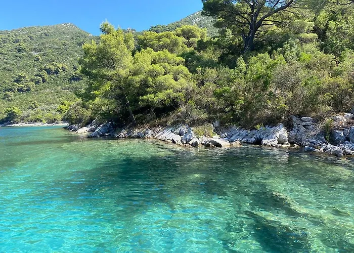 Jully With Swimming Pool Babino Polje