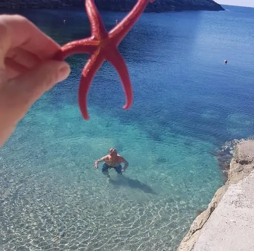 Jully With Swimming Pool Lägenhet *